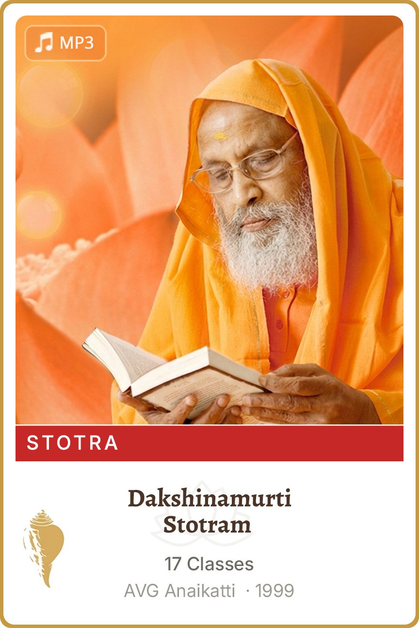 Dakshinamurti Stotram